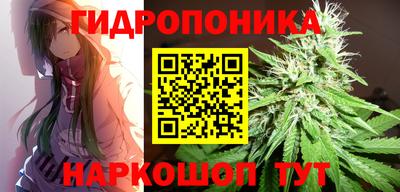прущие крисы Донецк