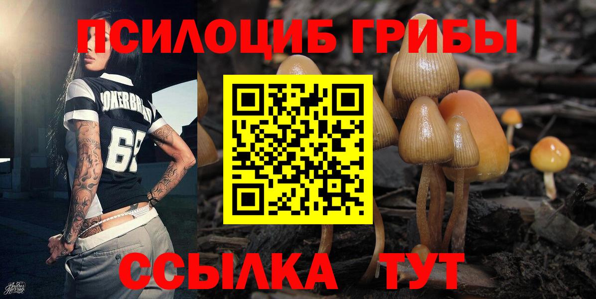 Михайловск  Галлюциногенные грибы GOLDEN TEACHER  Вход с VPN 