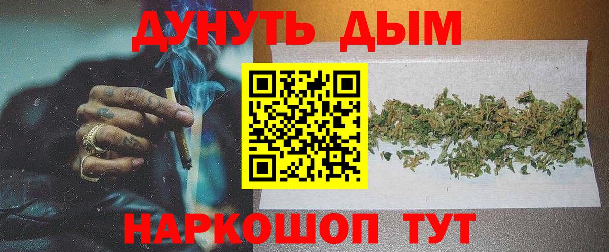 Бошки Шишки планчик Михайловск