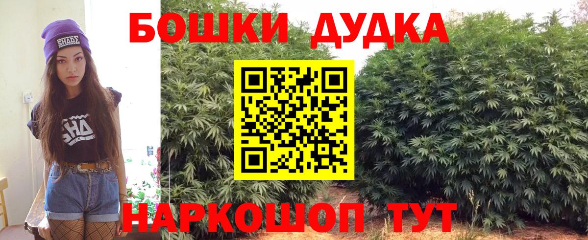 Конопля семена  Вход с VPN  Михайловск  Шишки марихуана планчик 